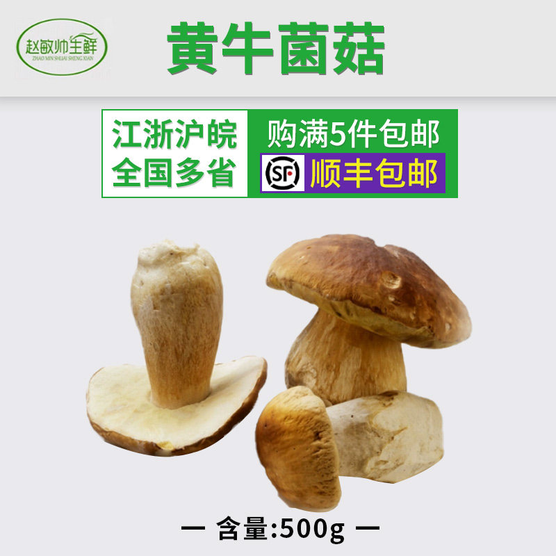 黄牛肝菌  黄牛干菌云南特产江浙沪4件包 速冻菌菇