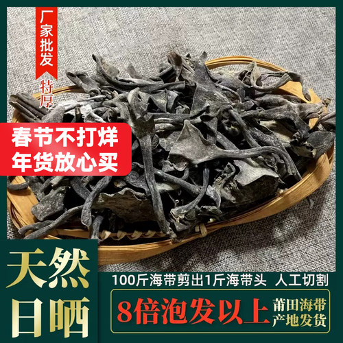 霞浦特厚纯海带头干厚实软糯