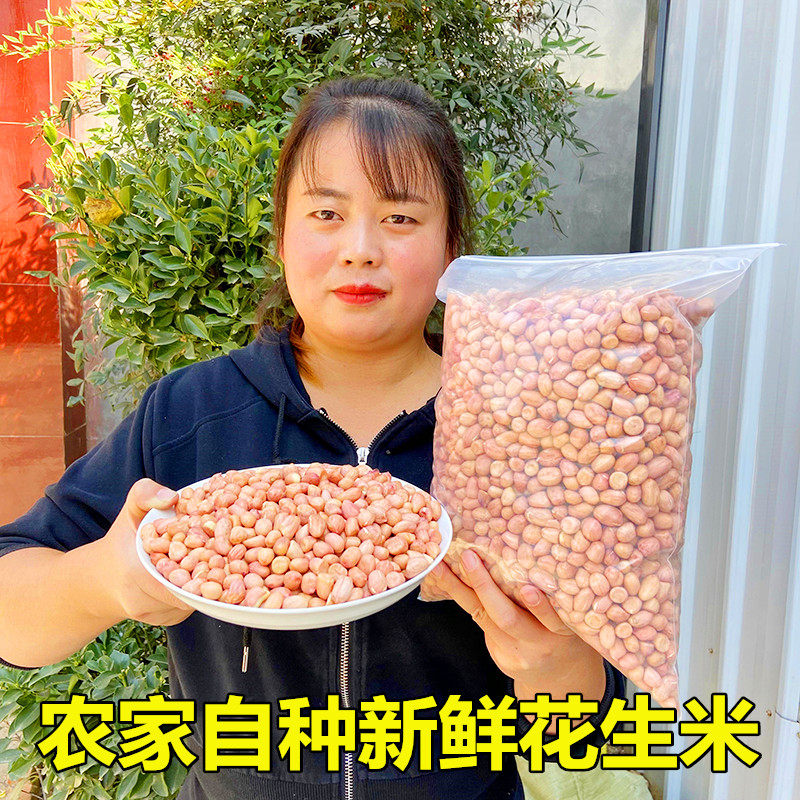 豫乡景辉河南农家自种新鲜花生米去壳大粒优质生花生米油炸下酒菜