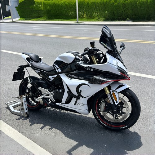适用于春风450SR全车版画可定制