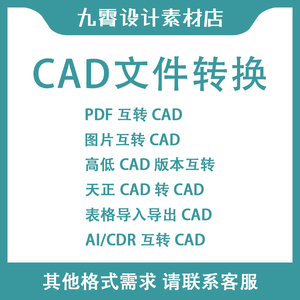 CAD转PDF天正DXF低版本图片表格AI转CAD文件打开格式转换九霄设计