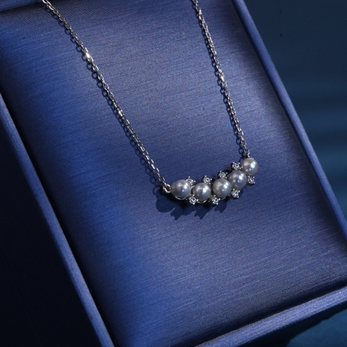 赵哥直播专属福利