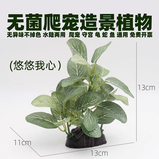 爬宠造景绿植物木攀爬鱼屋乌龟鱼缸小鱼躲避水草守宫蛇蛙躲避洞穴