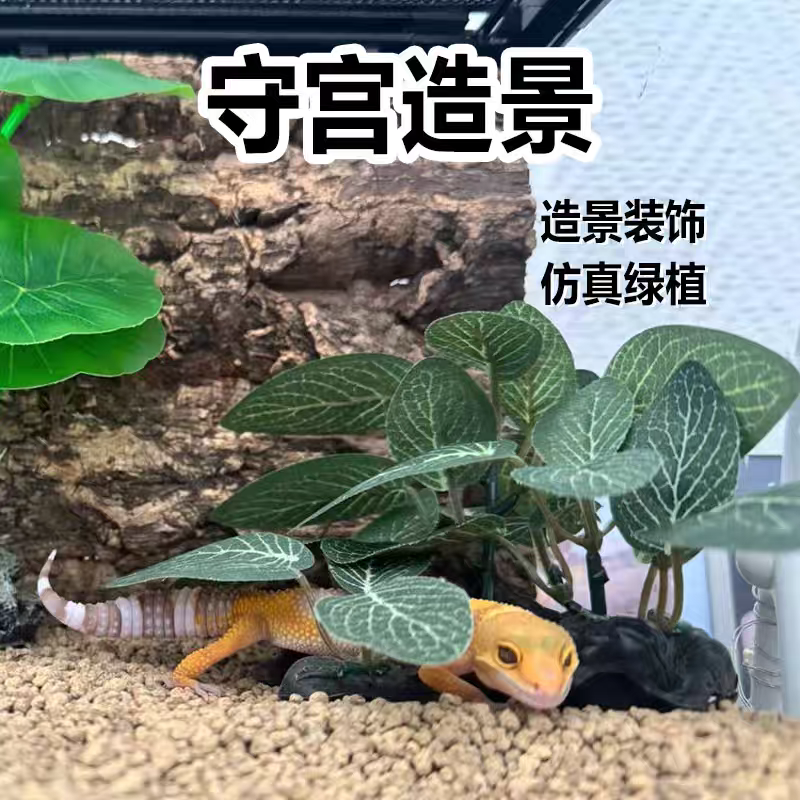 守宫造景仿真绿植生态模拟自然睫角豹纹肥尾蜥蜴爬宠专用造景用品