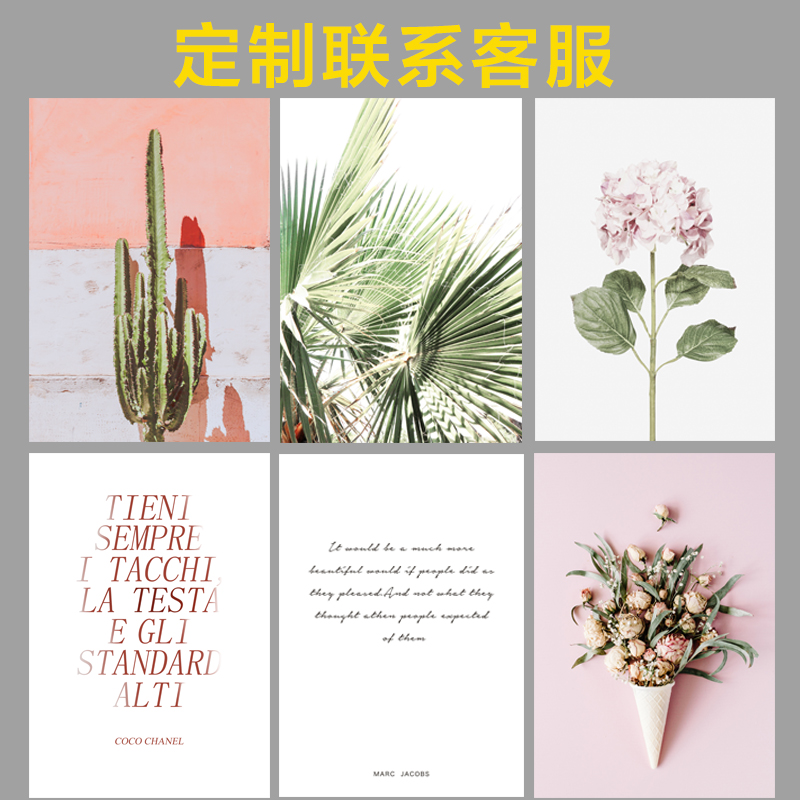 INS现代北欧简约花卉多肉植物装饰画画芯餐厅客厅挂画无框画画心