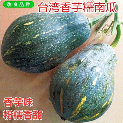 香芋糯南瓜种子甜糯南瓜种籽秘本南瓜板栗甜面特色蔬菜种子包邮