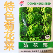 包邮 菊花菜种子黄心乌塌菜种籽特色四季 蔬菜叶菜野菜种高产口感好