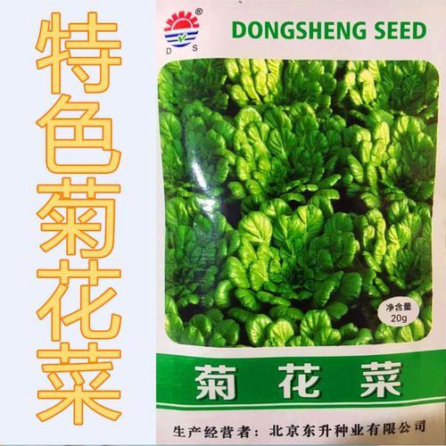 菊花菜种子黄心乌塌菜种籽特色四季蔬菜叶菜野菜种高产口感好包邮