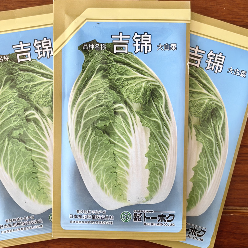 吉锦越冬早春秋季耐寒大白菜种子