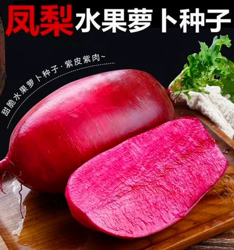 Семена ананасовых семян редьки плоды редьки семена семян фиолетового красного сердца хрустящее сладкое песчаное гнез