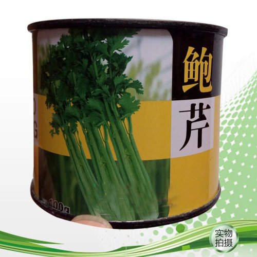 特色香脆微甜实心包邮芹菜种子