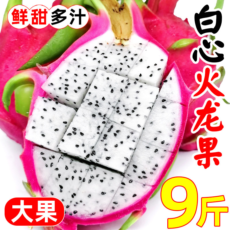 白心火龙果新鲜9斤当季越南进口热带水果白肉火龙果整箱包邮批发5