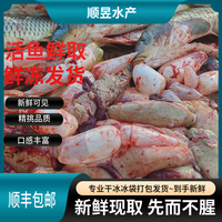 鲤鱼当天现杀新鲜鲤鱼鱼籽鱼泡鱼白鱼杂鱼蛋鱼卵鱼肚鱼子顺丰包邮