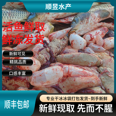 鲤鱼当天现杀新鲜鲤鱼鱼籽鱼泡鱼白鱼杂鱼蛋鱼卵鱼肚鱼子顺丰包邮