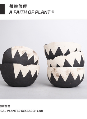 潮流块根植物龙舌兰龟甲龙块根SRL花盆陶瓷NEIGHBORHOOD野村豪人