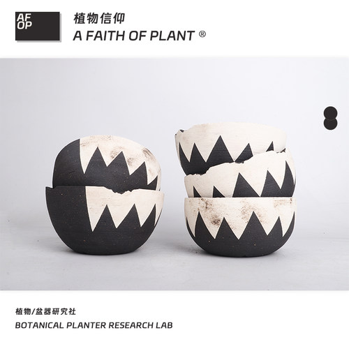 潮流块根植物龙舌兰龟甲龙块根SRL花盆陶瓷NEIGHBORHOOD野村豪人