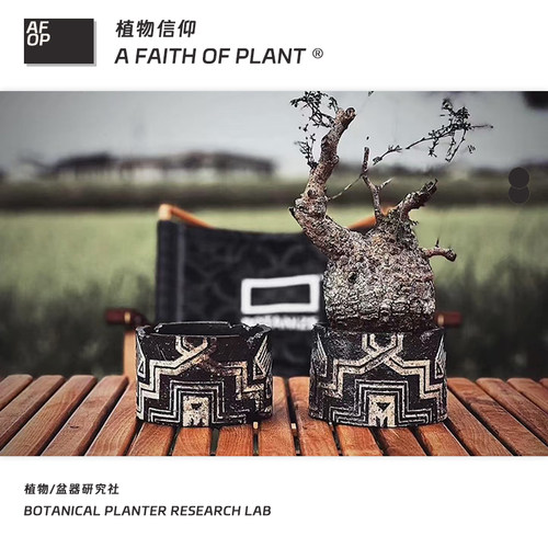 潮流块根植物龙舌兰龟甲龙块根SRL花盆陶瓷NEIGHBORHOOD野村豪人