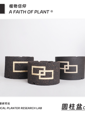 潮流块根植物龙舌兰龟甲龙块根SRL花盆陶瓷NEIGHBORHOOD野村豪人