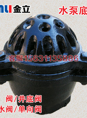 抽水泵底阀止回阀莲蓬头内螺纹井底阀吸水底阀DN40 50 65 80 100