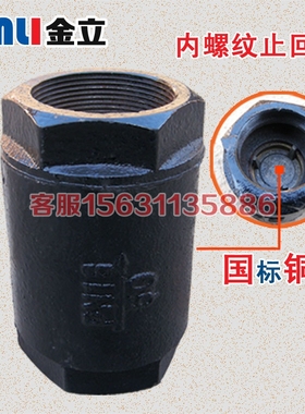 H12T-16丝扣立式止回阀 铸铁水管单向阀DN20 25 32 40 50 6分 1寸