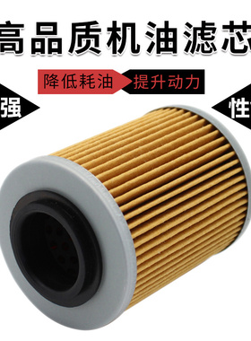 适配阿普利亚ETV RST1000 RSV1000 SL1000 庞巴迪DS650机油滤芯
