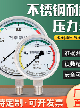 不锈钢耐震压力表YN100BF YTF100H304高温真空油气水液压力表氨用