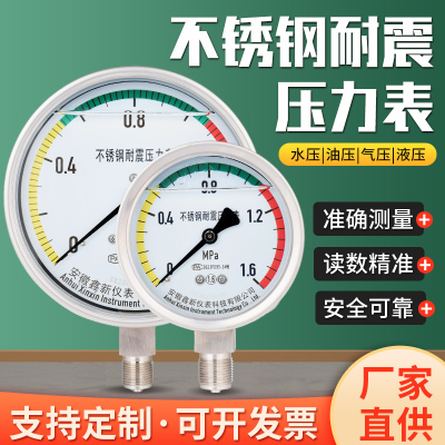 不锈钢耐震压力表YN100BF YTF100H304高温真空油气水液压力表氨用