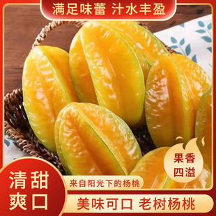小糖家福建漳州下河甜杨桃树熟洋桃现摘应季包邮新鲜水果五角阳桃