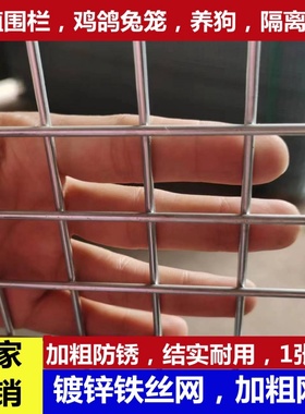 铁丝网格养殖围栏狗笼鸡鸽兔笼加粗钢丝网电焊网片防盗隔离护栏网