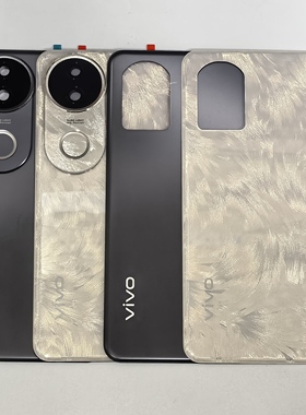 二手拆机后盖 VIVO S20原装玻璃后盖S20pro电池盖手机后壳后屏