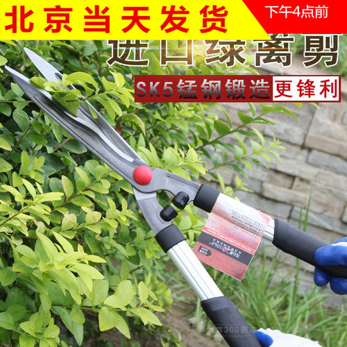 多功能果枝剪花心兰进口剪刀