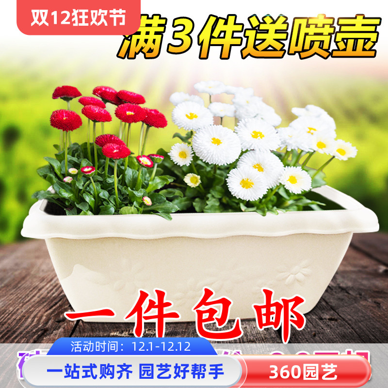 波浪长条种花盆树脂花盆加厚耐用花卉蔬菜种植箱盆家用阳台庭院