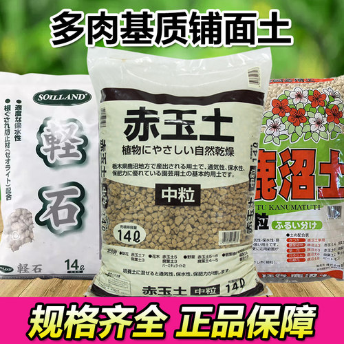 颗粒火山岩植金石多肉土