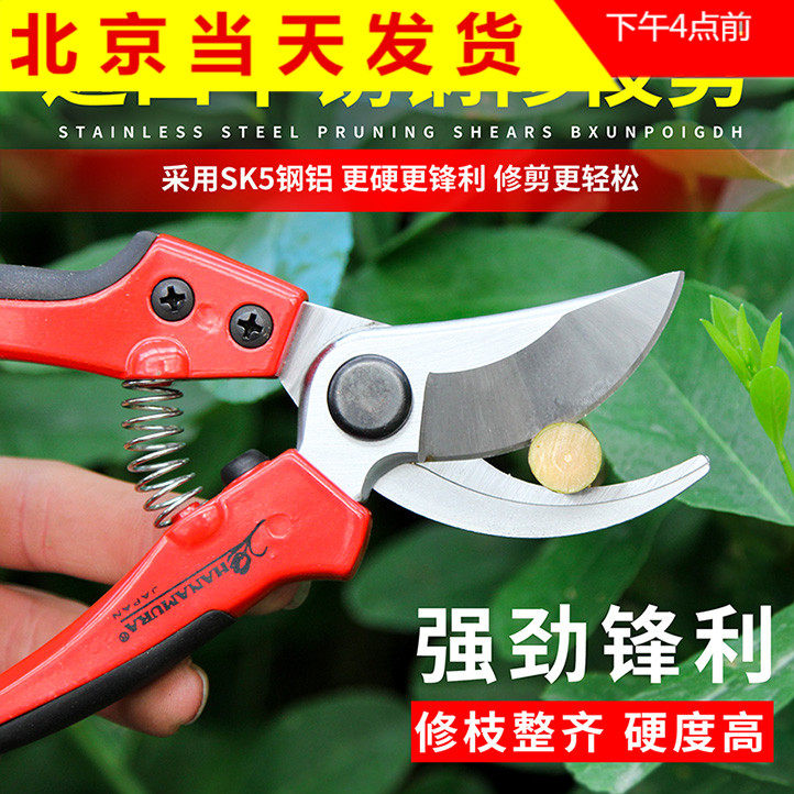 耐用果枝剪花心兰园艺绿植专用