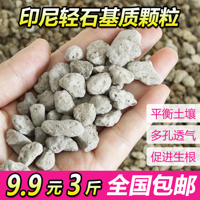 通用进口基质轻石多肉兰花石