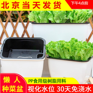 懒人自动吸水种菜盆花盆盆栽长条方形家庭阳台蔬菜种植箱花槽养花