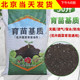 育苗基质花卉营养土花土大包蔬菜苗花水果栽培通用家用有机土 包邮