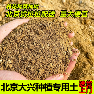 优质田园土泥土盆栽通用养花专用土种植土壤泥土种菜黑土天然大山