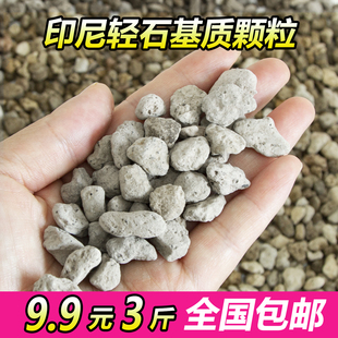 进口轻石颗粒土浮石钵底石兰花石多肉兰花铺面拌土水陆缸垫底造景