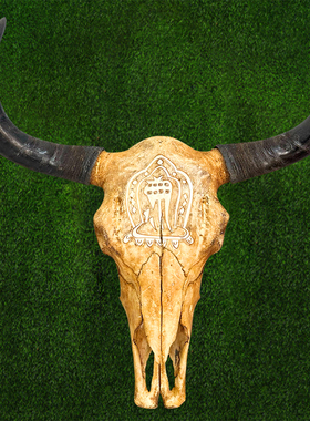 蒙古包装饰工艺品牛头骨装饰标本壁挂藏区标本特色壁饰骨头装饰品