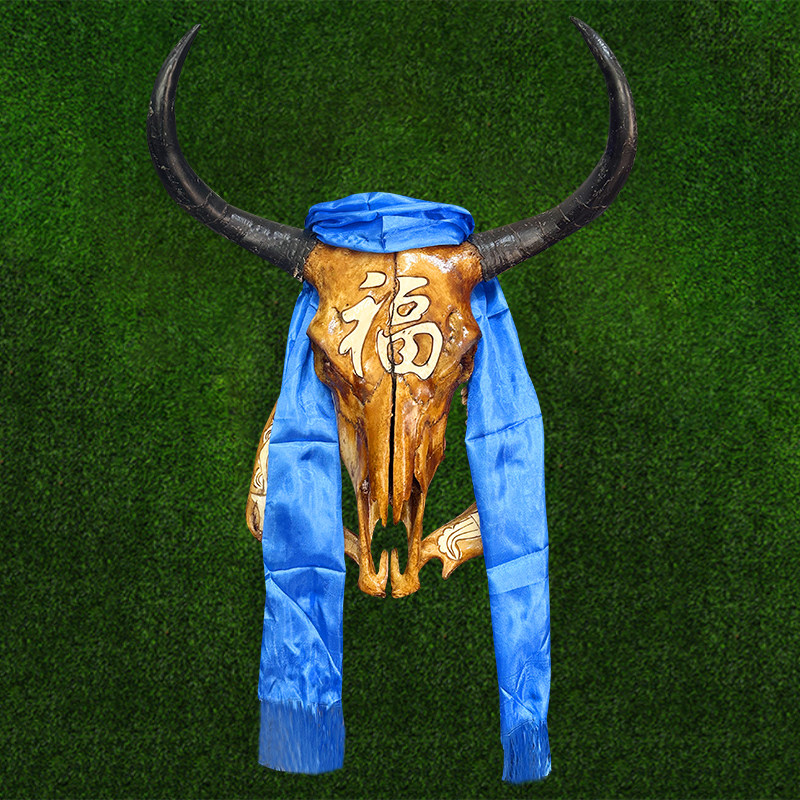 蒙古包装饰工艺品牦牛头骨装饰标本壁挂藏区标本特色壁饰真牛头骨