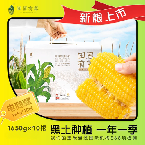 吉林公主岭田里有草甜糯玉米新鲜苞米自然熟非转基因10根一箱包邮