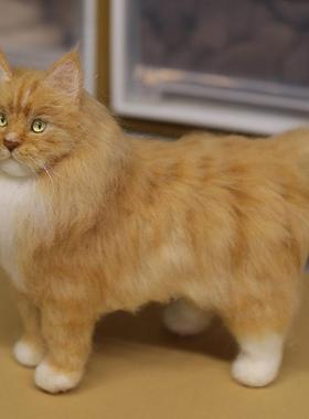 猫咪定制羊毛毡纪念品礼物