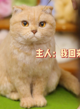 20厘米｜仿真宠物猫咪宠物摆件橘猫花色定制宠物离世纪念品纯手工