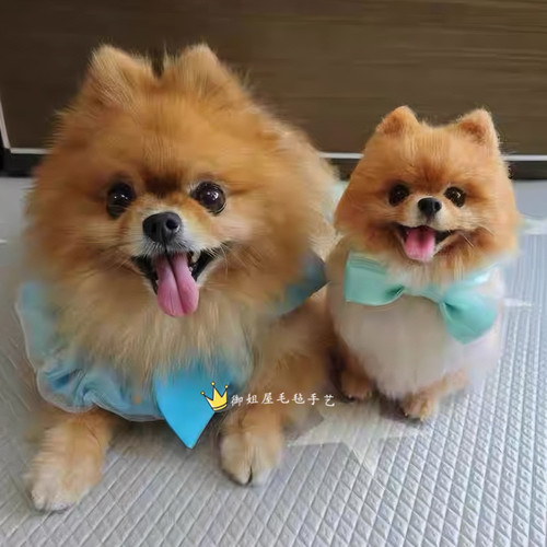 羊毛毡狗戳戳乐玩偶定制