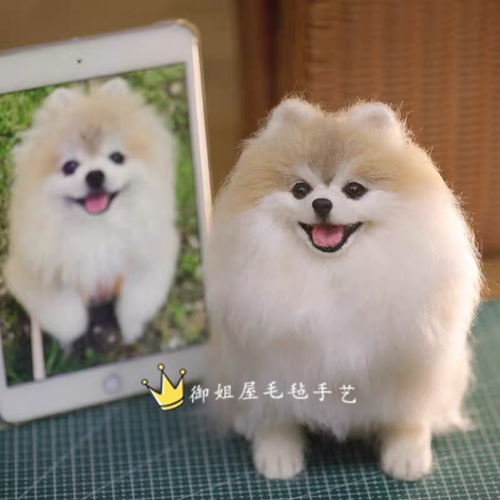 来图定制羊毛毡定制宠物仿真离世纪念泰迪狗狗猫咪玩偶纯手工博美