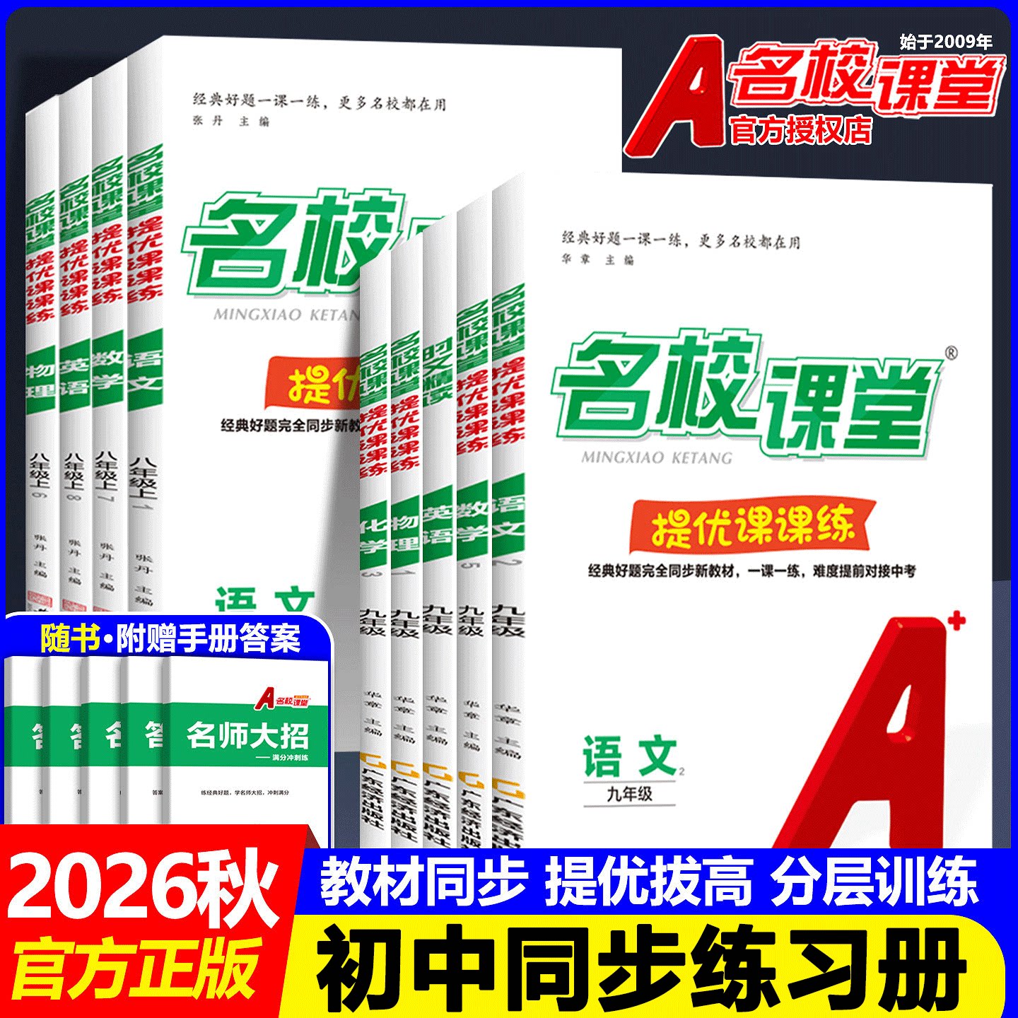对接中考培优专题提优版一课一练
