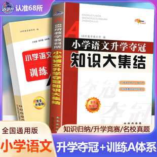 训练A体系 共2册小学语文升学夺冠知识大集结 小升初语文总复习资料中小学辅导书小考试辅导工具书知识大全集锦 全新升级版 新版