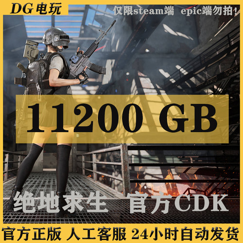 PUBGG币绝地求生G币吃鸡11200gb