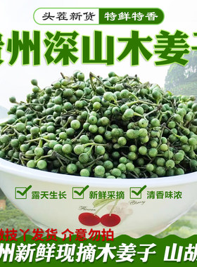 正宗野生木姜子贵州现摘新鲜山胡椒山苍子可吃面下火锅泡坛山胡椒